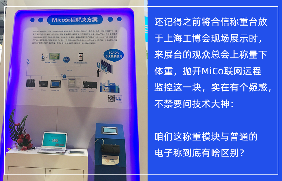 称沉？.jpg